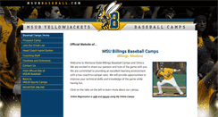 Desktop Screenshot of msubbaseball.com