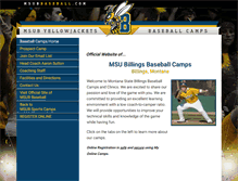 Tablet Screenshot of msubbaseball.com